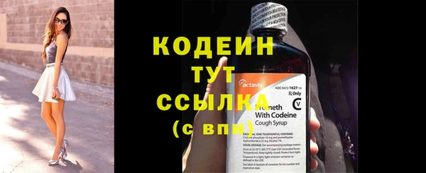 мет Протвино
