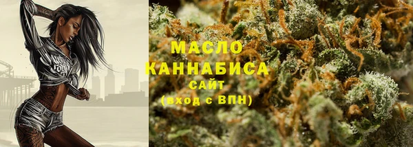 мет Протвино